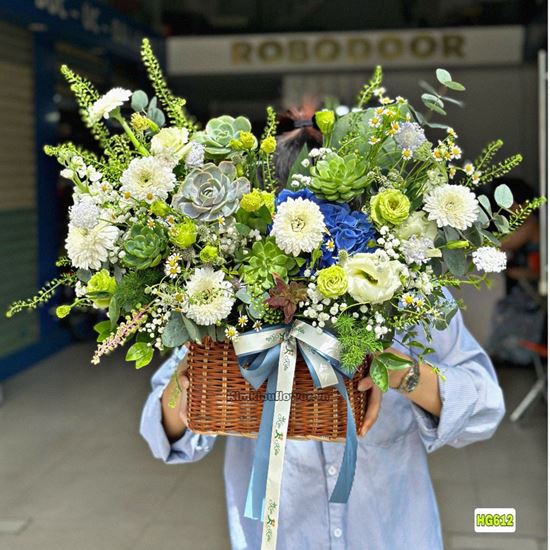 giỏ hoa sen đá - HG612 