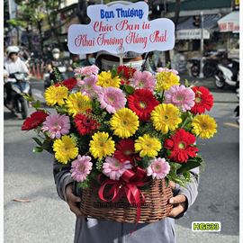 giỏ hoa đồng tiền nhí - HG633