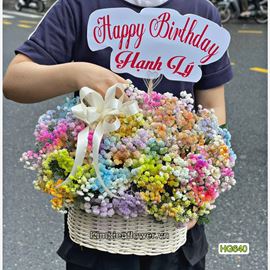 giỏ hoa baby NHIỀU MÀU - HG640