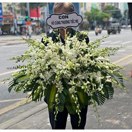 Đĩa hoa lan trắng - GV13