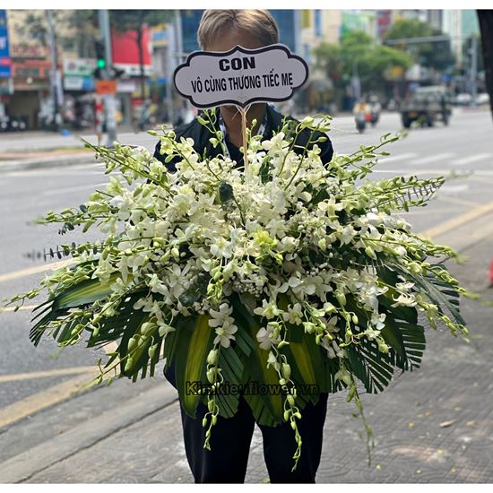 Đĩa hoa lan trắng - GV13