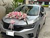 Xe hoa cưới tone hồng - HC87