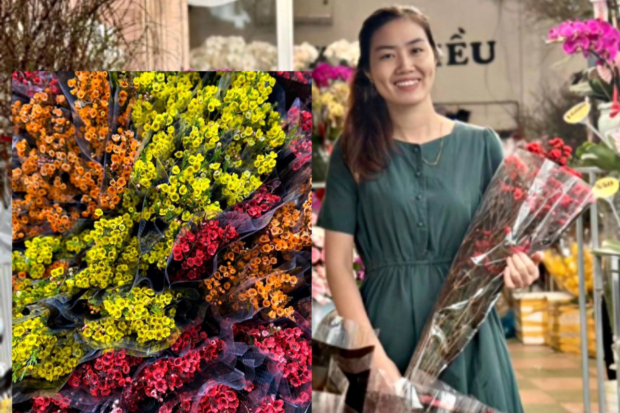 Hoa Thanh Liễu có  ý nghĩa gì ? Đặc điểm hoa thanh liễu ?