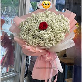 Bó baby trắng hồng đỏ - HB589