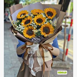 Bó hoa hướng dương - HB616