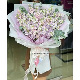 Bó hoa phi yến - HB689