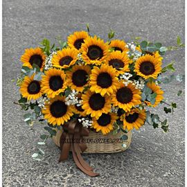 Giỏ hoa hướng dương - HG705