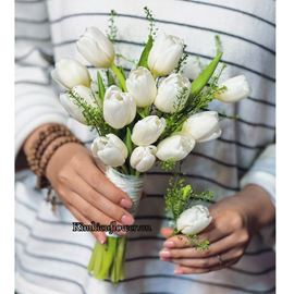 Bó hoa tưới tulip trắng - HC97