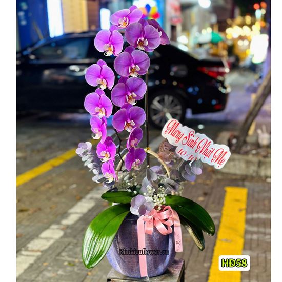 Giỏ lan hồ điệp tím - HĐ58