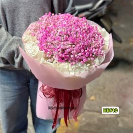 Bó hoa baby hồng - HB910