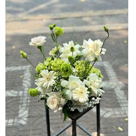 Đĩa hoa tone tone trắng, xanh lá - ĐH34