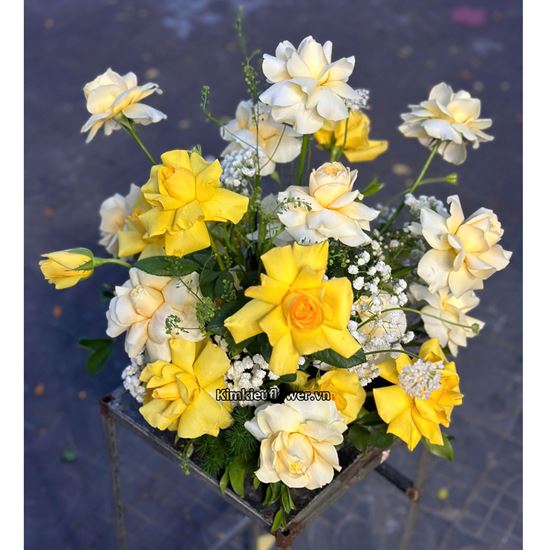 Đĩa hoa victo vàng mix hồng vàng - ĐH41