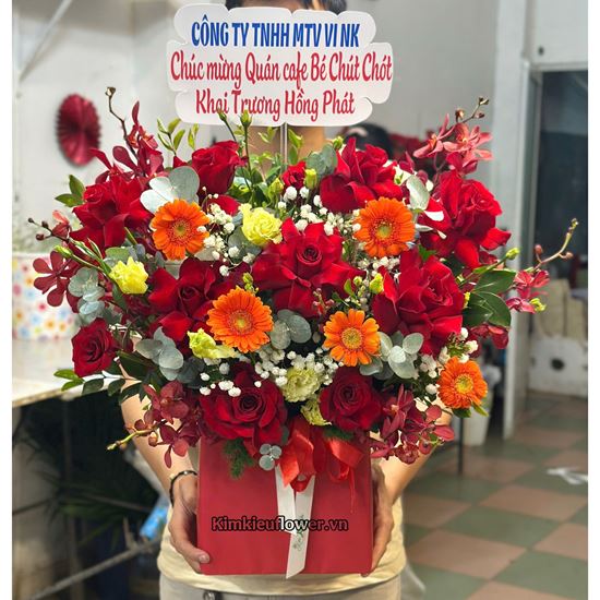 Giỏ hoa chúc mừng tone đỏ - HG824