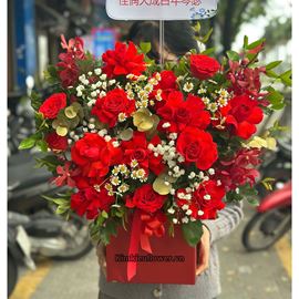 Giỏ hoa lan đỏ mix hồng đỏ - HG827