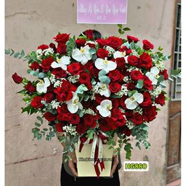 GIỎ HOA HỒNG ĐỎ MIX LAN HỒ ĐIỆP TRẮNG - HG880