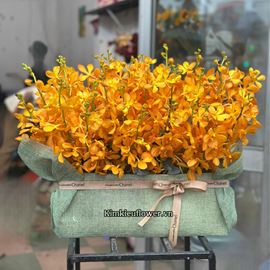 Hộp hoa lan vàng mokara- HG883